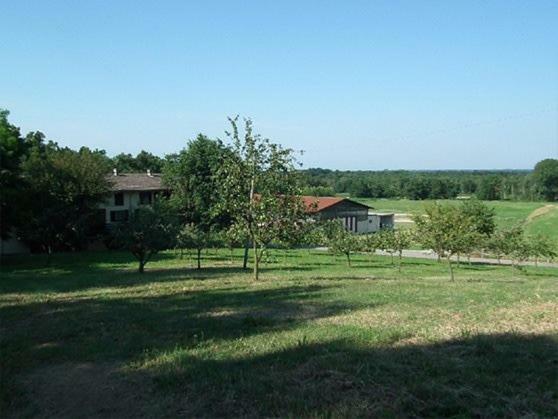 Agriturismo Cargandino Vila Mezzomerico Exterior foto